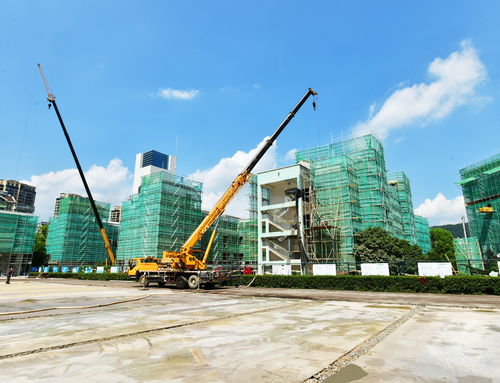 明珠小學改擴建工程有序推進，景觀工程為校園增添新氣象
