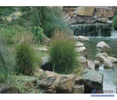 百草園供應可靠的園林景觀工程，寧波與博羅縣專業服務